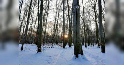 Возможны сильные морозы и снегопады: какую погоду ждать украинцам зимой