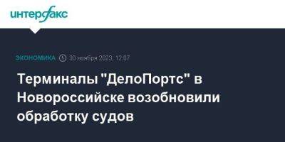 Терминалы "ДелоПортс" в Новороссийске возобновили обработку судов