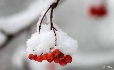 Снег в Украине в первый день зимы - карта погоды 1 декабря
