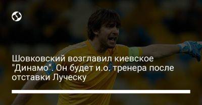 Шовковский возглавил киевское "Динамо". Он будет и.о. тренера после отставки Луческу