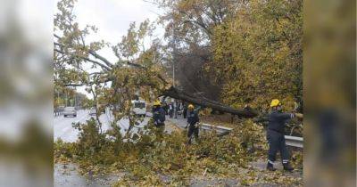 Дожди, сильные порывы ветра и отключение света: украинцев предупредили об ударах непогоды