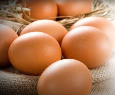 Чтобы не отравить всю семью: как правильно хранить вареные яйца в холодильнике, чтобы они не испортились