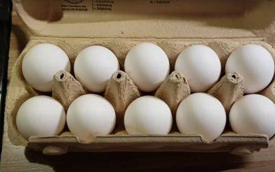 Хитрость, которая удивит: как при помощи яйца привести в порядок изделия из натуральной кожи