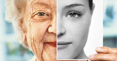 Биологическое или психологическое явление: почему мы стареем и что нам с этим делать, объяснение ученых
