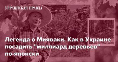 Легенда о Мияваки. Как в Украине посадить "миллиард деревьев" по-японски