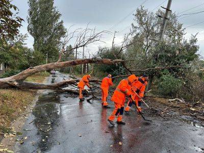 Последствия непогоды в Одессе 5 ноября: упали десятки деревьев | Новости Одессы