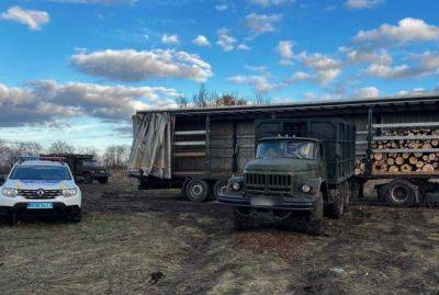 На Днепропетровщине нанесли ущерб окружающей среде: полиция показала кадры варварства