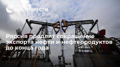 Новак: РФ продлит сокращение экспорта нефти на 300 тыс баррелей в сутки в 2023 г