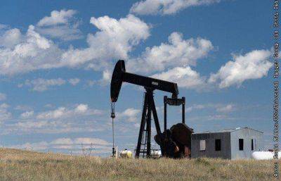 Цены на нефть растут после падения на прошлой неделе, Brent торгуется у $81 за баррель