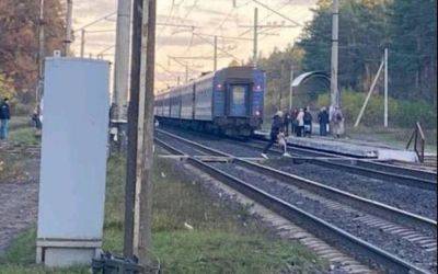 Жуткое ЧП с поездом "Киев-Нежин": погибшему было всего 19 лет