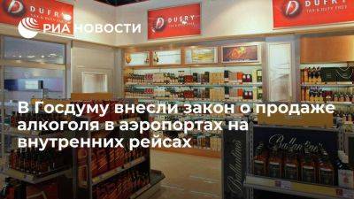 В ГД внесли законопроект о продаже алкоголя в аэропортах на рейсах по России