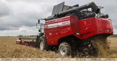 Belarus' grain harvests exceeds 9.3m tonnes