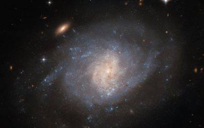 Hubble сфотографировал спиральную галактику, расположенную в созвездии Кита