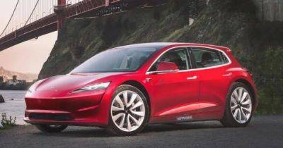 Цена 25 000 евро и компактные размеры: новые подробности о самом дешевом электрокаре Tesla