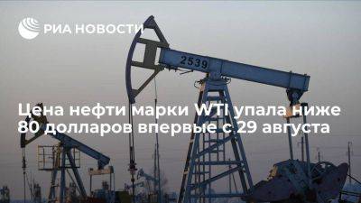 Цена нефти марки WTI упала ниже $80 за баррель впервые с 29 августа