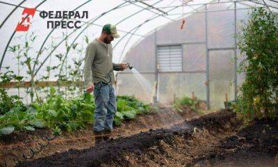 Активы, которые мы потеряли: какие крупнейшие сельхозпредприятия Южного Урала перешли варягам
