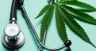 Здоровье нации будут лечить марихуаной. Верховная Рада может принять закон в ближайшее время