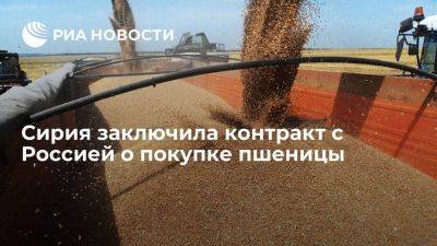 Минсельхоз Сирии закупит у России 1,4 миллиона тонн пшеницы