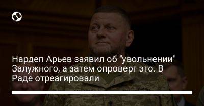 Нардеп Арьев заявил об "увольнении" Залужного, а затем опроверг это. В Раде отреагировали