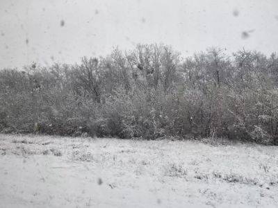 Готовимся к первому снегу: синоптик рассказал, когда Украину начнет заметать