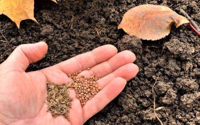Дачники и огородники в панике: с 2024 года семена будут стерильными — урожай не дадут