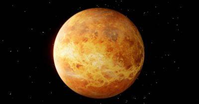 Транзит Венеры в Весы: кому из знаков Зодиака повезет с 8 ноября по 4 декабря 2023 года