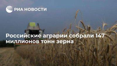 Лут: в РФ собрали 147 млн тонн зерна, потенциал по экспорту составил 65 млн тонн