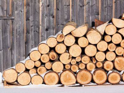 Какая субсидия на дрова 2023 – размер увеличен вдвое - подробности