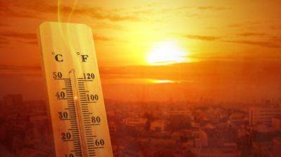 Ученые прогнозируют, что этот год станет самым жарким на Земле за всю историю наблюдений
