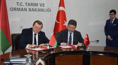 Беларусь и Турция намерены провести совместный бизнес-форум в первом квартале 2024 года