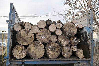 Павел Сушко: Удалось отстоять повышение субсидий на покупку дров