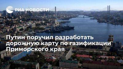 Путин поручил властям Приморского края разработать дорожную карту по газификации