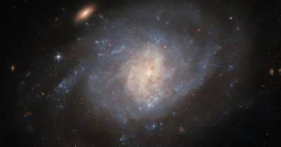 Обломки разбросало по всей галактике: телескоп Хаббл заснял результат космического взрыва (фото)