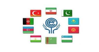 Ташкентский саммит: новые перспективы для широкого сотрудничества стран ОЭС