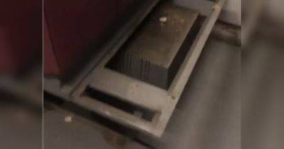Полиция разыскала подростков, которые «на камеру» разгромили вагон электрички под Киевом (видео)