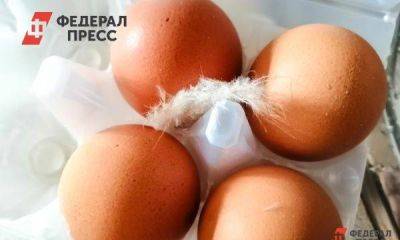 Яйца резко подорожают на Сахалине: на сколько вырастут цены