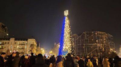 Новогоднюю елку в Киеве снова будут устанавливать за деньги меценатов