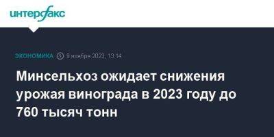 Дмитрий Патрушев - Минсельхоз ожидает снижения урожая винограда в 2023 году до 760 тысяч тонн - smartmoney.one - Москва - Россия