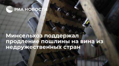 Дмитрий Патрушев - Минсельхоз поддержал продление пошлины в 20% на вина из недружественных стран - smartmoney.one - Россия