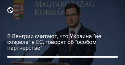 В Венгрии считают, что Украина "не созрела" в ЕС, говорят об "особом партнерстве"