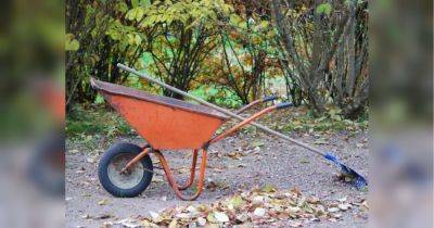 Готовьте ямы для саженцев: что делать в саду в ноябре