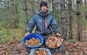 В Беларуси в ноябре грибников в лесах толпы
