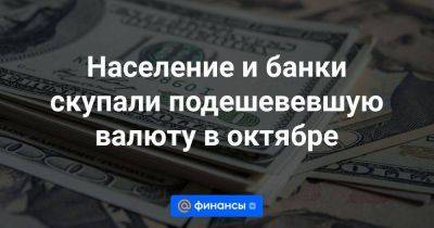 Население и банки скупали подешевевшую валюту в октябре - smartmoney.one - Россия - США