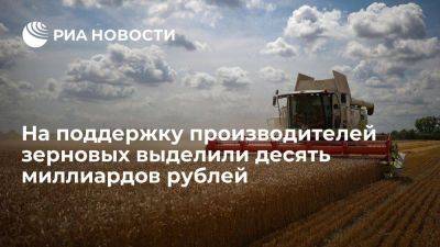 Правительство выделило 10 млрд руб на поддержку производителей зерновых культур