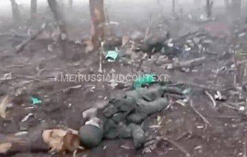 Земля завалена телами оккупантов: русский солдат показал свои передовые позиции под Авдеевкой