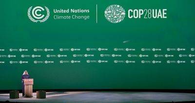 Президент ОАЭ объявил о создании нового климатического фонда в размере $30 млрд