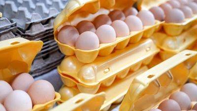 В ФАС рассказали о последствиях ограничения наценки на яйца на уровне не более 5%