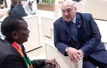 Над Лукашенко смеется даже президент Зимбабве