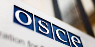 В ОБСЕ объяснили, почему не исключают Россию из организации