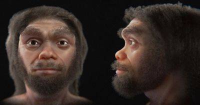 Ближайший родственник Homo sapiens: ученые смоделировали лицо настоящего Человека-дракона (фото)